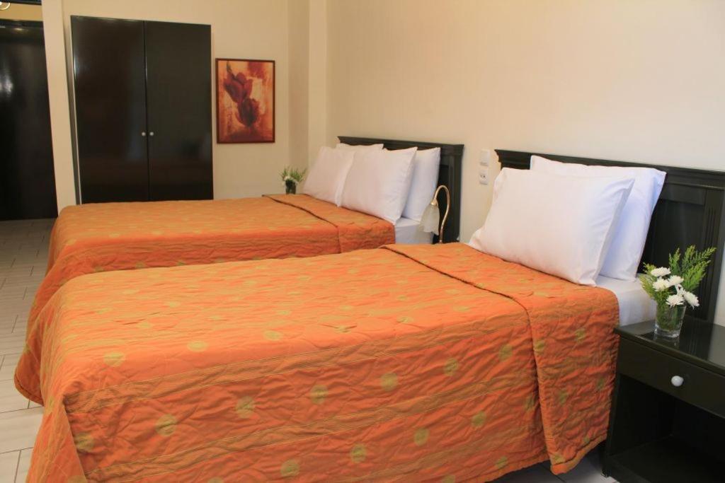 Famissi Eden Hotel Kalampáka Rom bilde